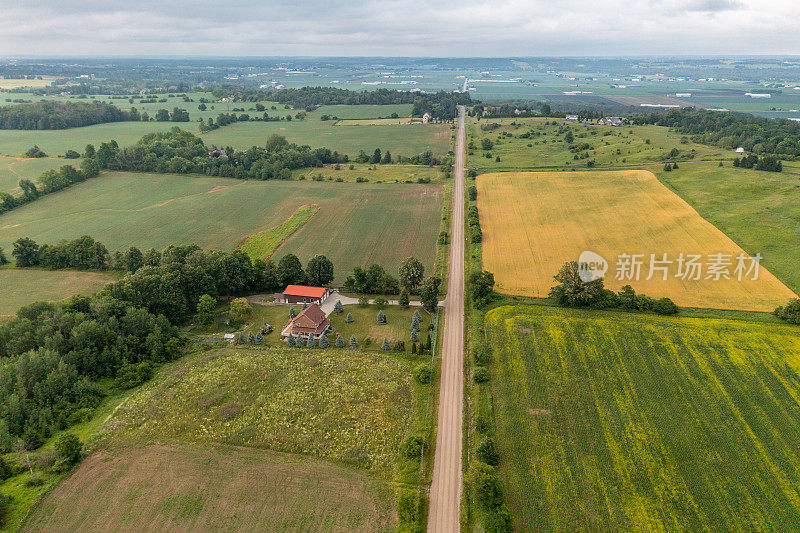 鸟瞰油菜籽田和乡村道路，Bradford West Gwillimbury，加拿大